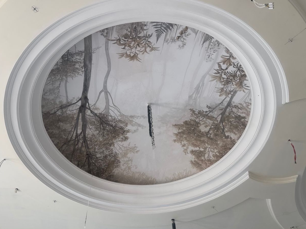 Private residence — Stretched ceiling printing, a domed reception ceiling
